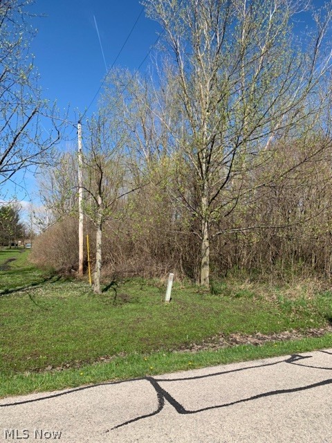 0 Andress Road Berlin Heights, OH 44814 - Photo 4 of 7