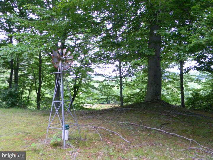 550 Breakneck Road Mullica Hill, NJ 08062 - Photo 11 of 18