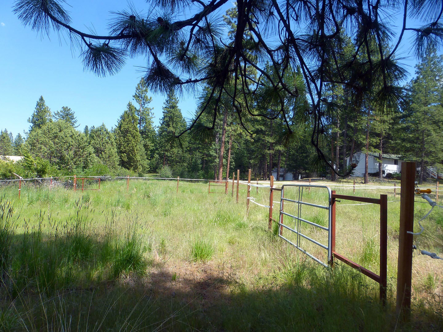 12350 Kann Springs Road Keno, OR 97627 - Photo 39 of 39 12350KannSp.-39