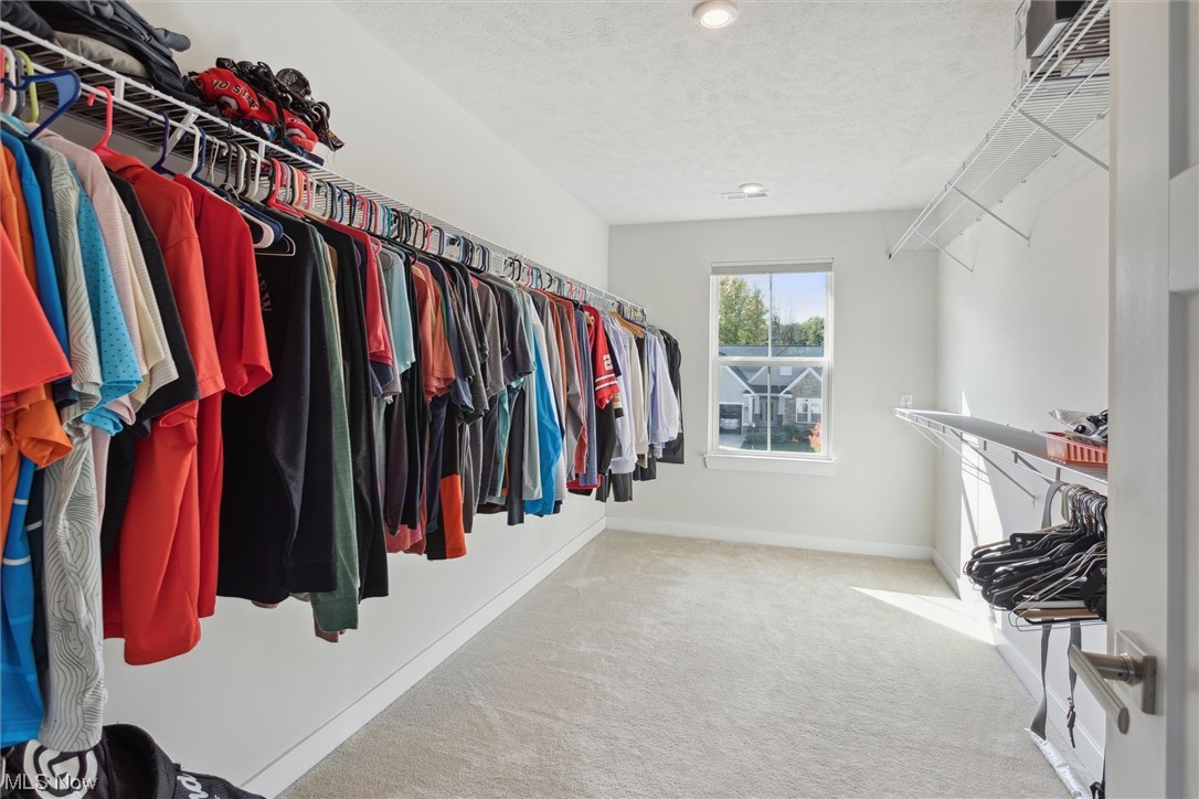 256 Stone Ridge Way Berea, OH 44017 - Photo 25 of 32 Spacious closet with light colored carpet
