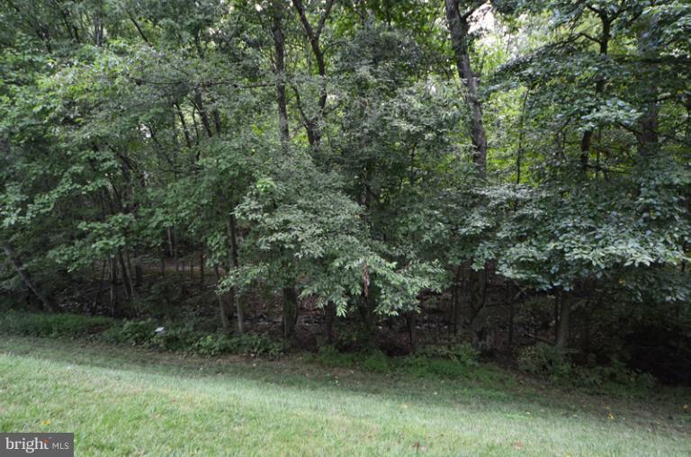 1616 Oak Spring Way Reston, VA 20190 - Photo 11 of 30 View from Deck