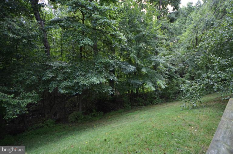 1616 Oak Spring Way Reston, VA 20190 - Photo 26 of 30 Rear View
