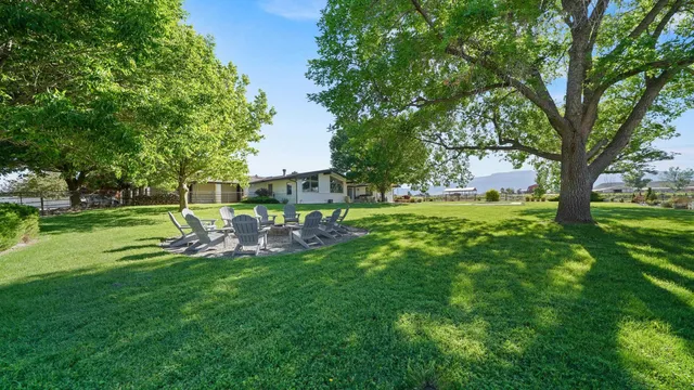 a view of a park with large trees
