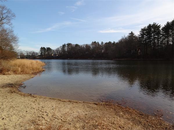 24 Leland Road Norfolk, MA 02056 - Photo 8 of 15 Gallery Image 8