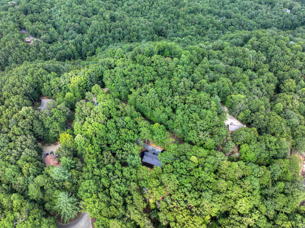 412 Mountain Tops Circle Blue Ridge, GA 30513 - Photo 64 of 66 Gallery Image 64