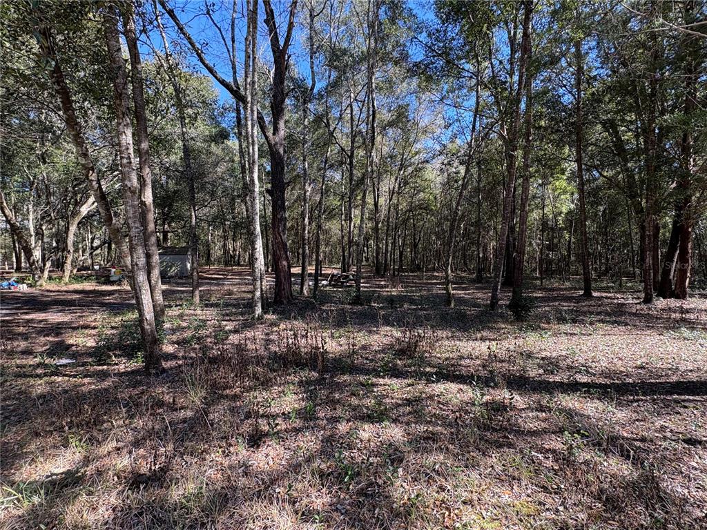 11727 Southwest 122nd Street Gainesville, FL 32608 - Photo 21 of 24