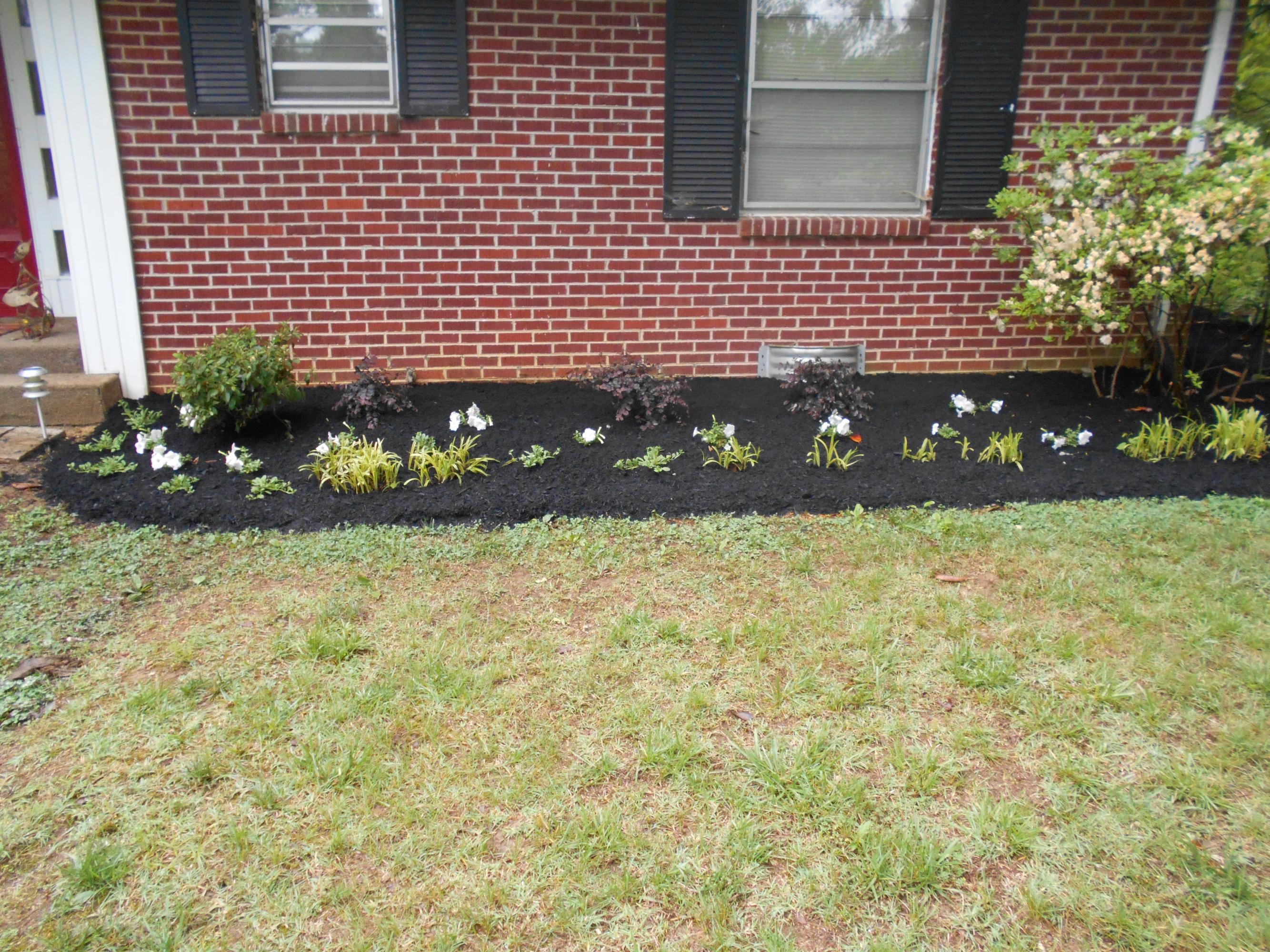1741 Springbrook Road Alcoa, TN 37701 - Photo 2 of 34 DSCN1498
