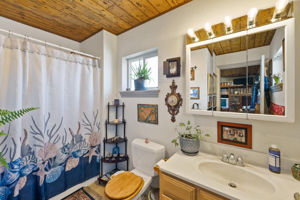 219-a Leonard Street Santa Cruz, CA 95060 - Photo 24 of 32 a bathroom with a sink mirror vanity and toilet