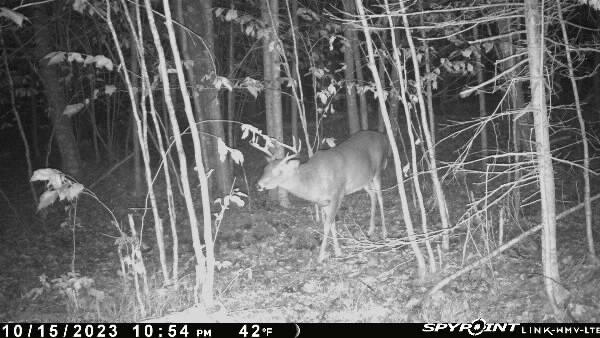 60 Clements Road Winterport, ME 04496 - Photo 9 of 15 1