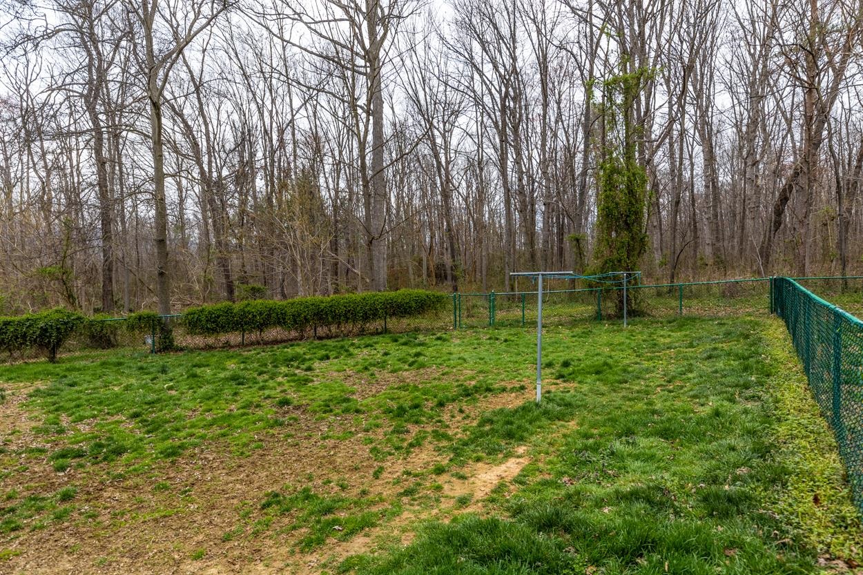 499 Verbena Road Shenandoah, VA 22849 - Photo 11 of 32 Gallery Image 11