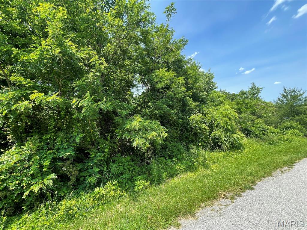 4316 Ann Drive Alton, IL 62002 - Photo 2 of 9