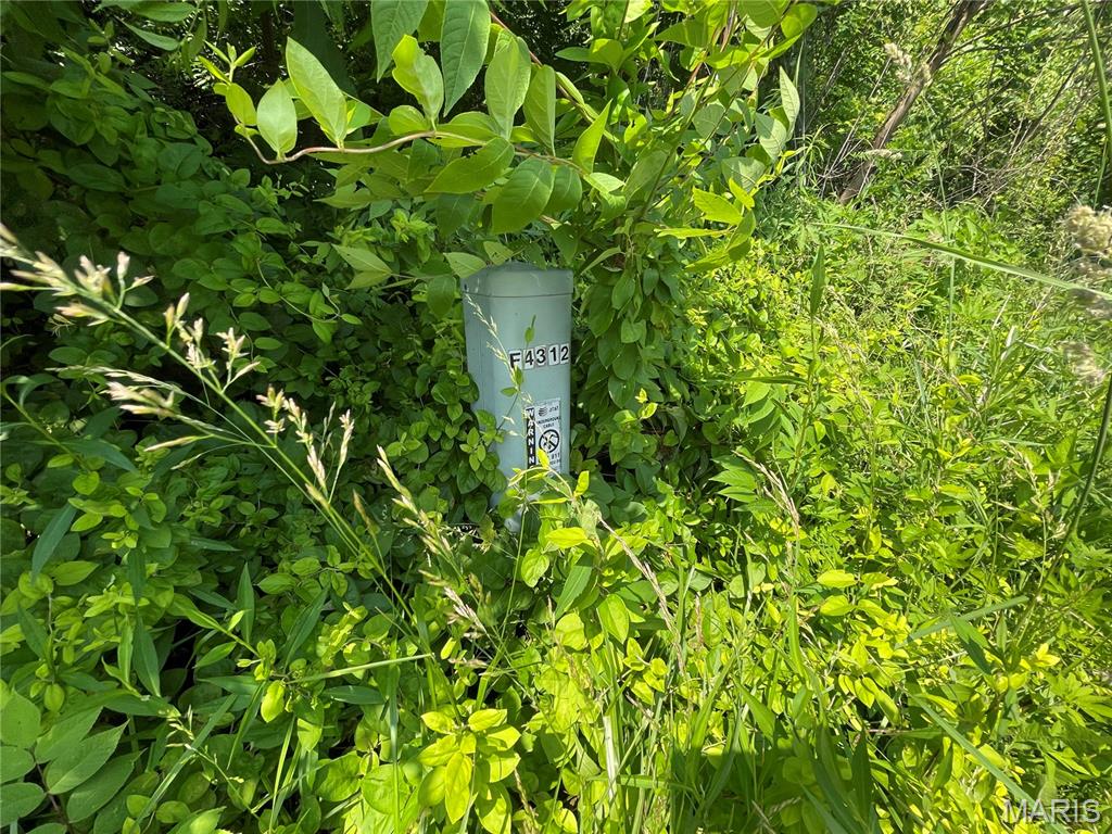 4316 Ann Drive Alton, IL 62002 - Photo 4 of 9