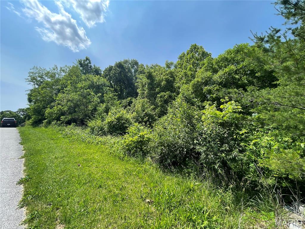 4316 Ann Drive Alton, IL 62002 - Photo 5 of 9