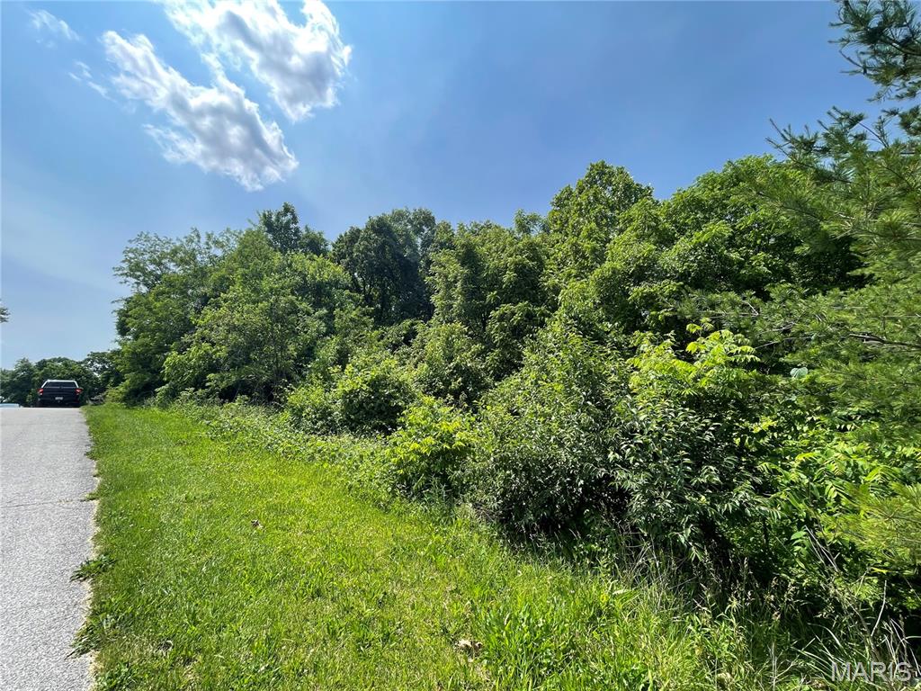 4316 Ann Drive Alton, IL 62002 - Photo 6 of 9