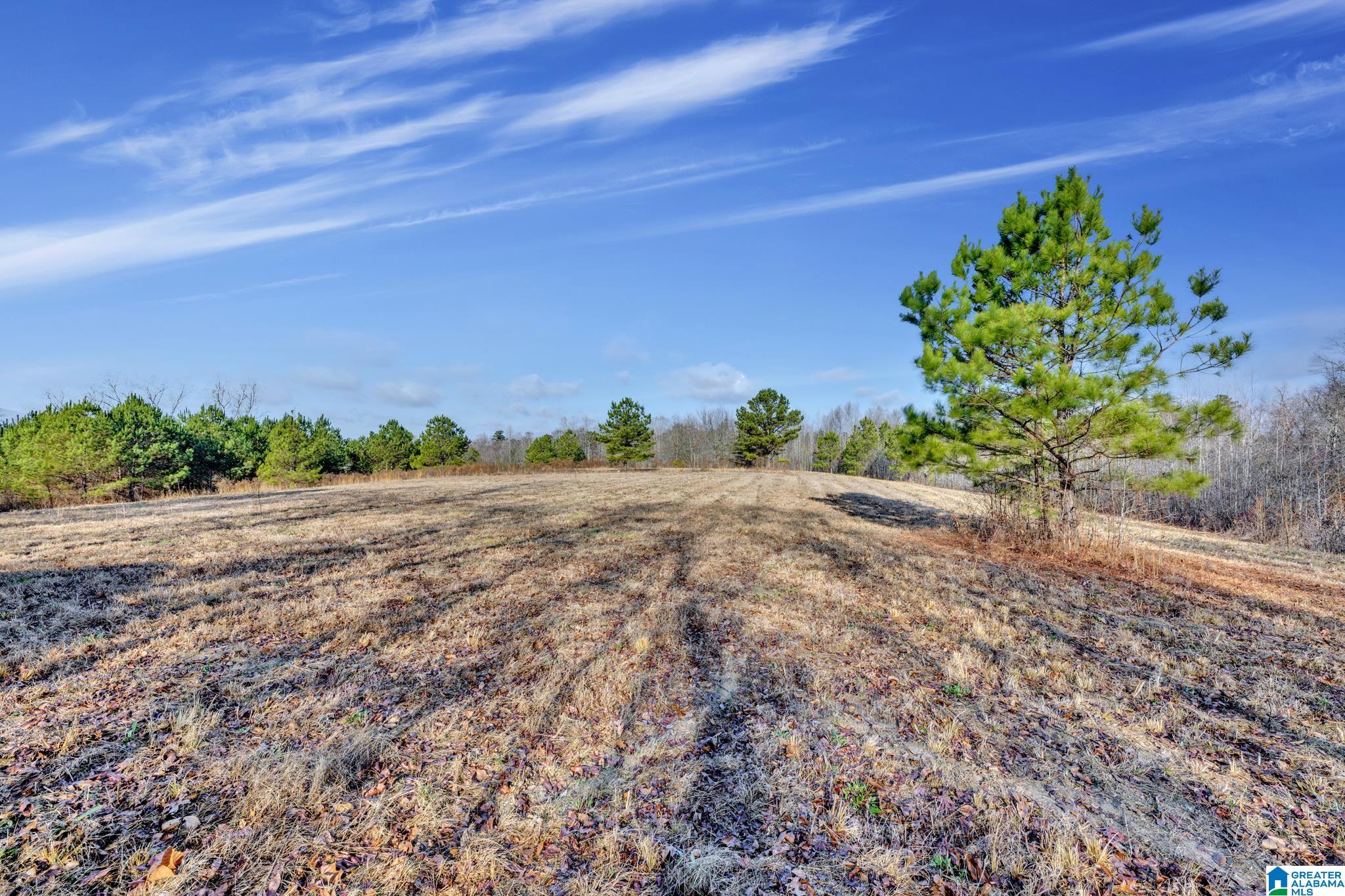 941 Hamm Road Blountsville, AL 35031 - Photo 42 of 67