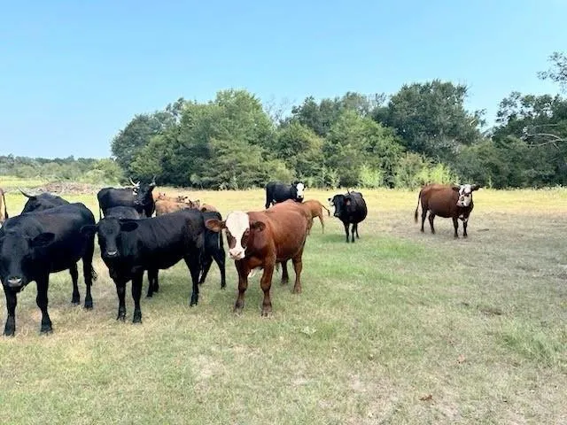 $130,000 | 601 St Teague Tx 75860, Teague, TX 75860