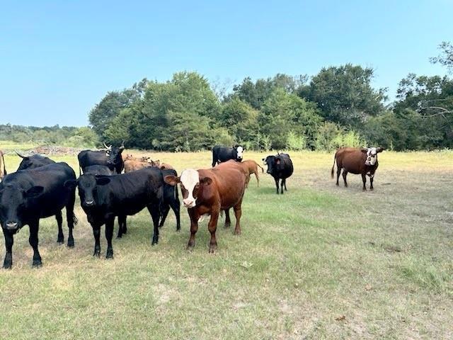601 St Teague Tx 75860 Teague, TX 75860 - Photo 1 of 13