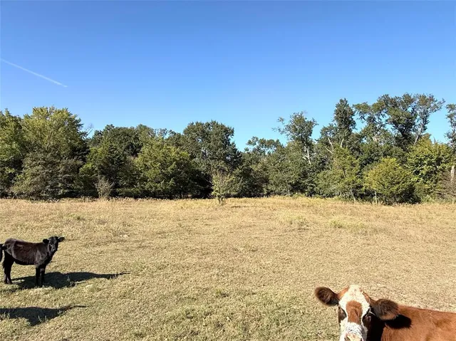 $130,000 | 601 St Teague Tx 75860, Teague, TX 75860