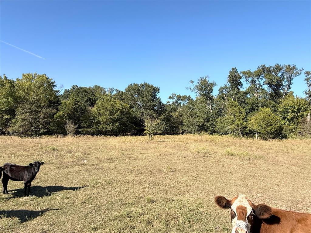 601 St Teague Tx 75860 Teague, TX 75860 - Photo 12 of 13 a view of an ocean beach