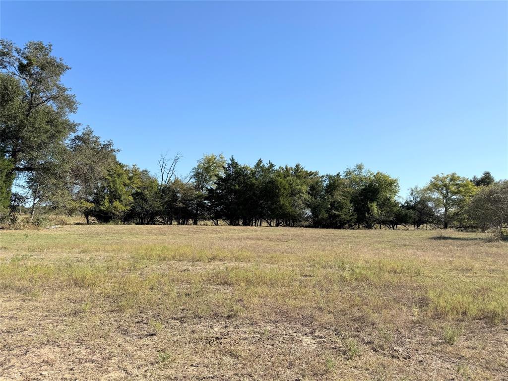 601 St Teague Tx 75860 Teague, TX 75860 - Photo 4 of 13 a view of open field with trees in background