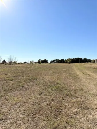 a view of a bunch of trees and bushes