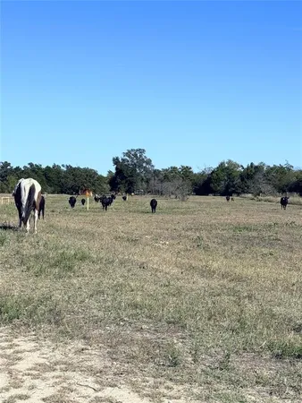 a view of outdoor space with seating