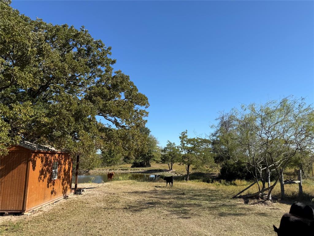 601 St Teague Tx 75860 Teague, TX 75860 - Photo 9 of 13 a view of a yard with a tree