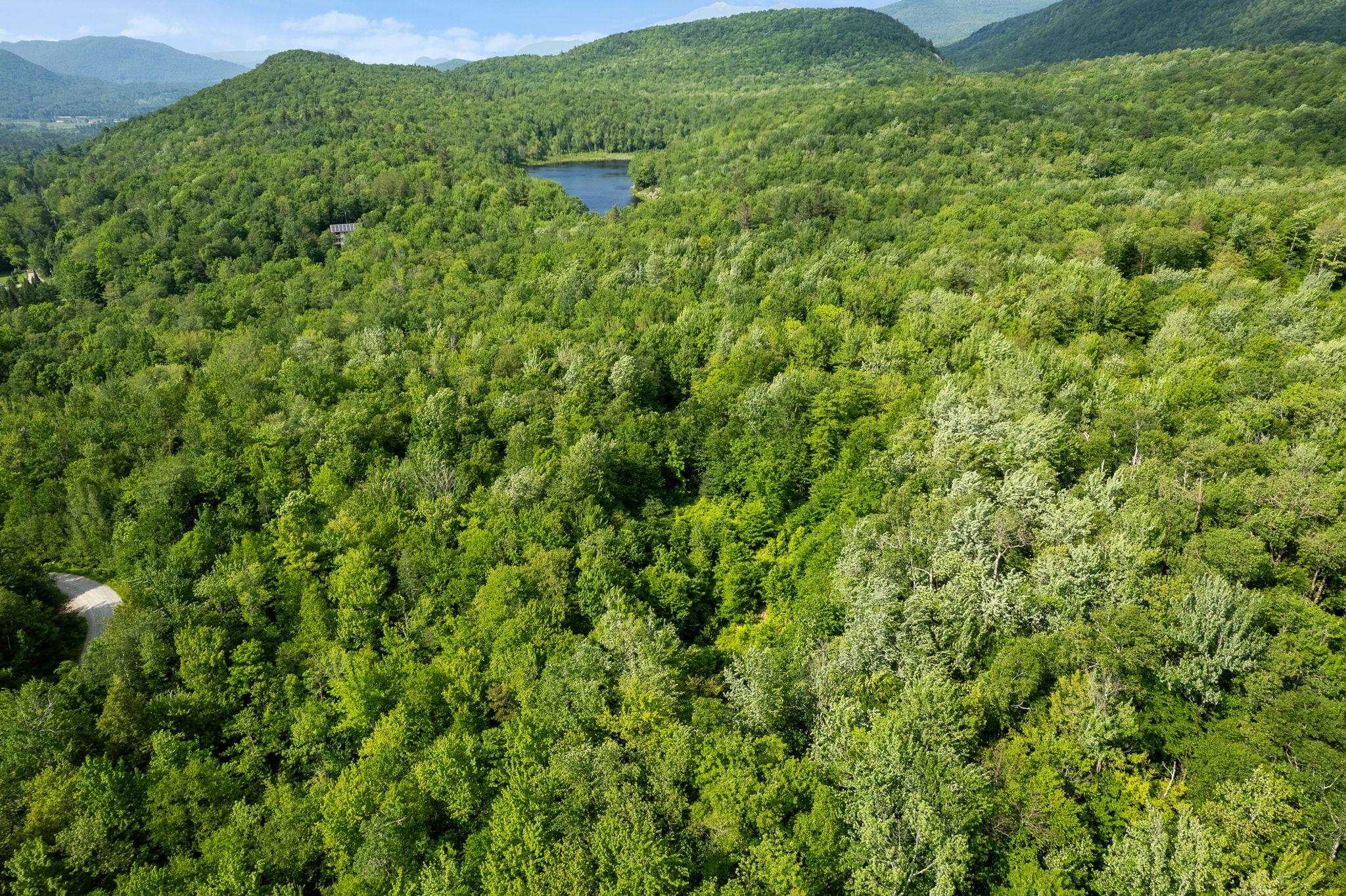 115 Stone Hill Road Bolton, VT 05465 - Photo 24 of 33