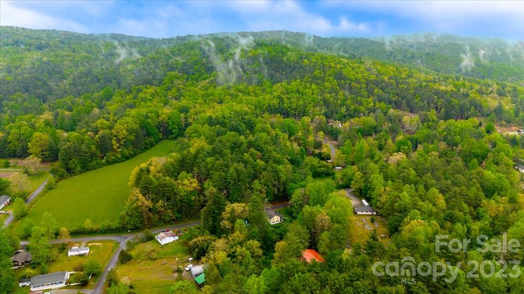 62 Kinard Lane Penrose, NC 28766 - Photo 25 of 25 a view of a lush green forest with a houses