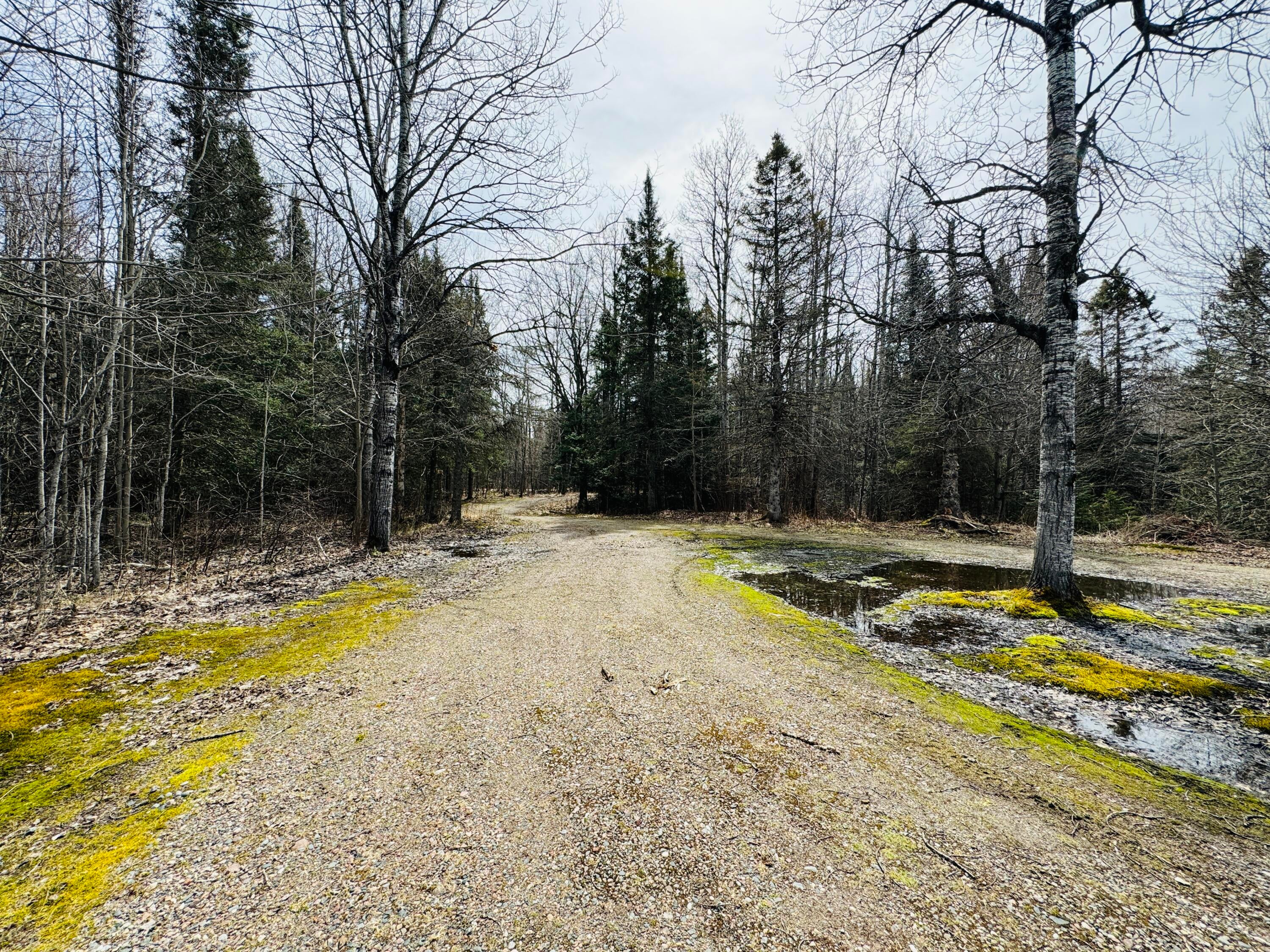 0 South Ojala Road Brimley, MI 49715 - Photo 23 of 48 Gallery Image 23