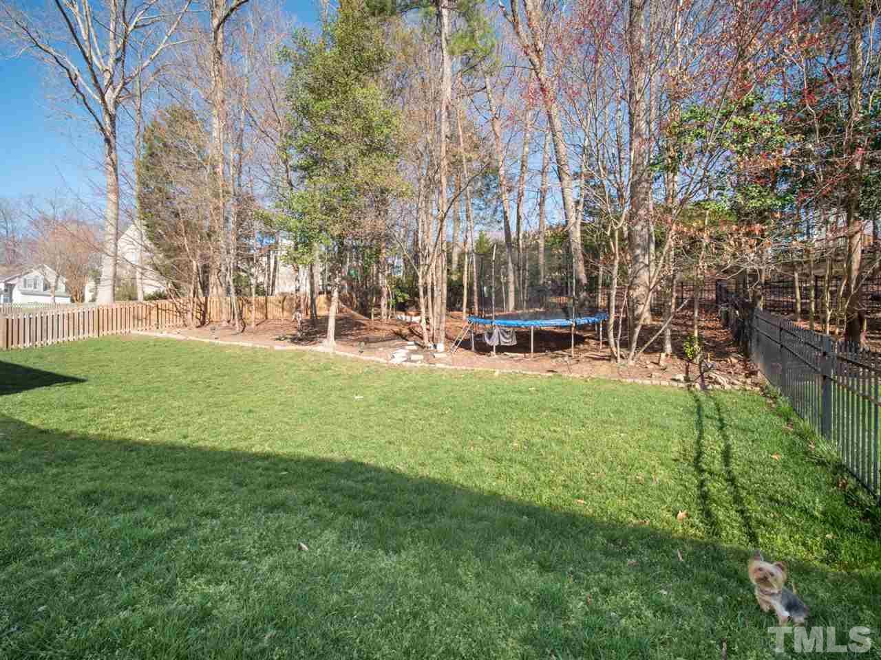 2221 Spruce Shadows Lane Raleigh, NC 27614 - Photo 26 of 27