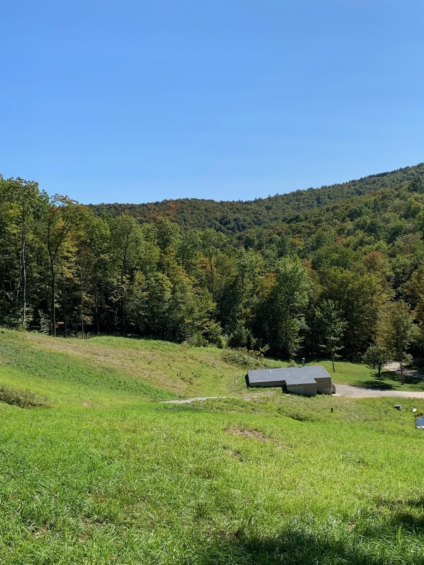 870 Little Sherburne Road Killington, VT 05751 - Photo 10 of 19