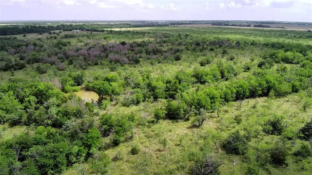 a view of a green field with lots of bushes
