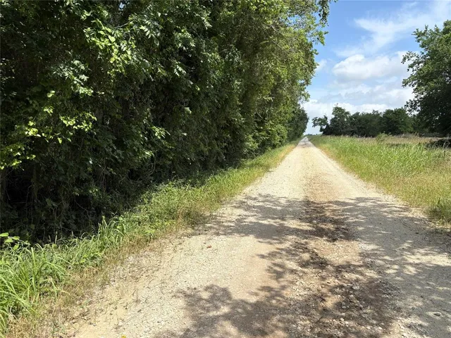 a view of a lake from a yard