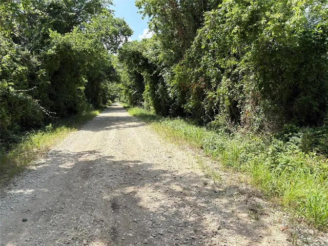 a view of backyard with green space