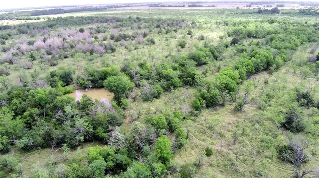 a view of a field with an trees