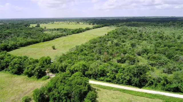 a view of a lush green outdoor space with a lake view