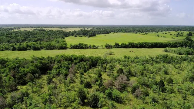 a view of a lush green forest with a houses
