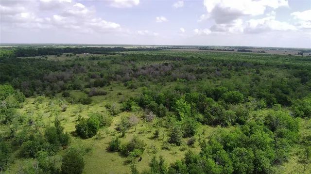 a view of a city with lush green forest