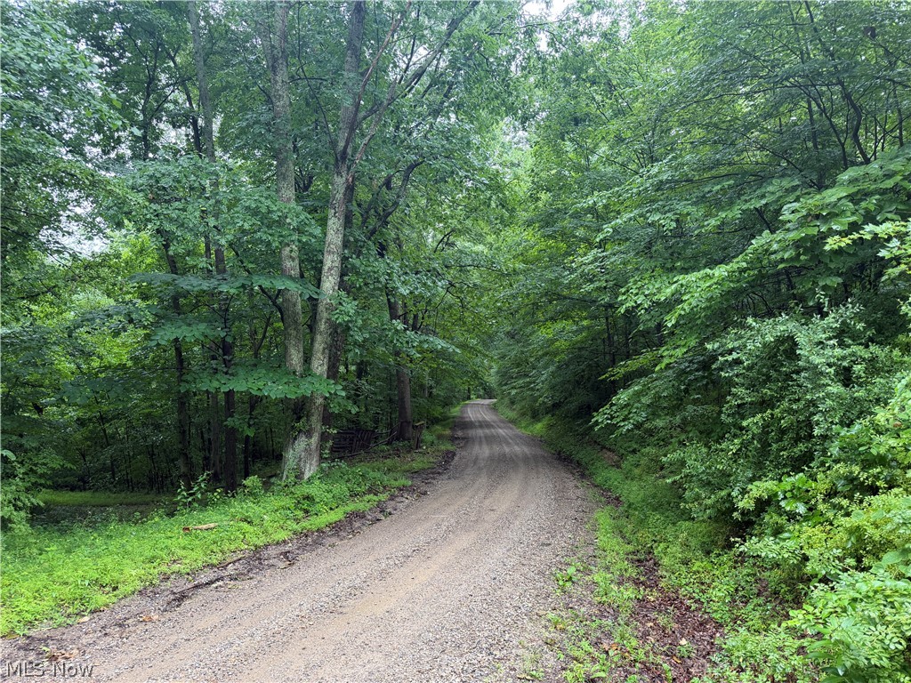 19440 Township Road Warsaw, OH 43844 - Photo 6 of 6