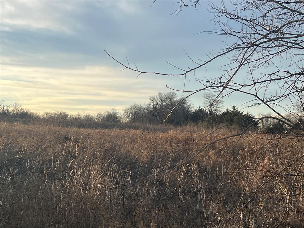 0 Highway 276 Quinlan, TX 75474 - Photo 3 of 4 a view of a yard