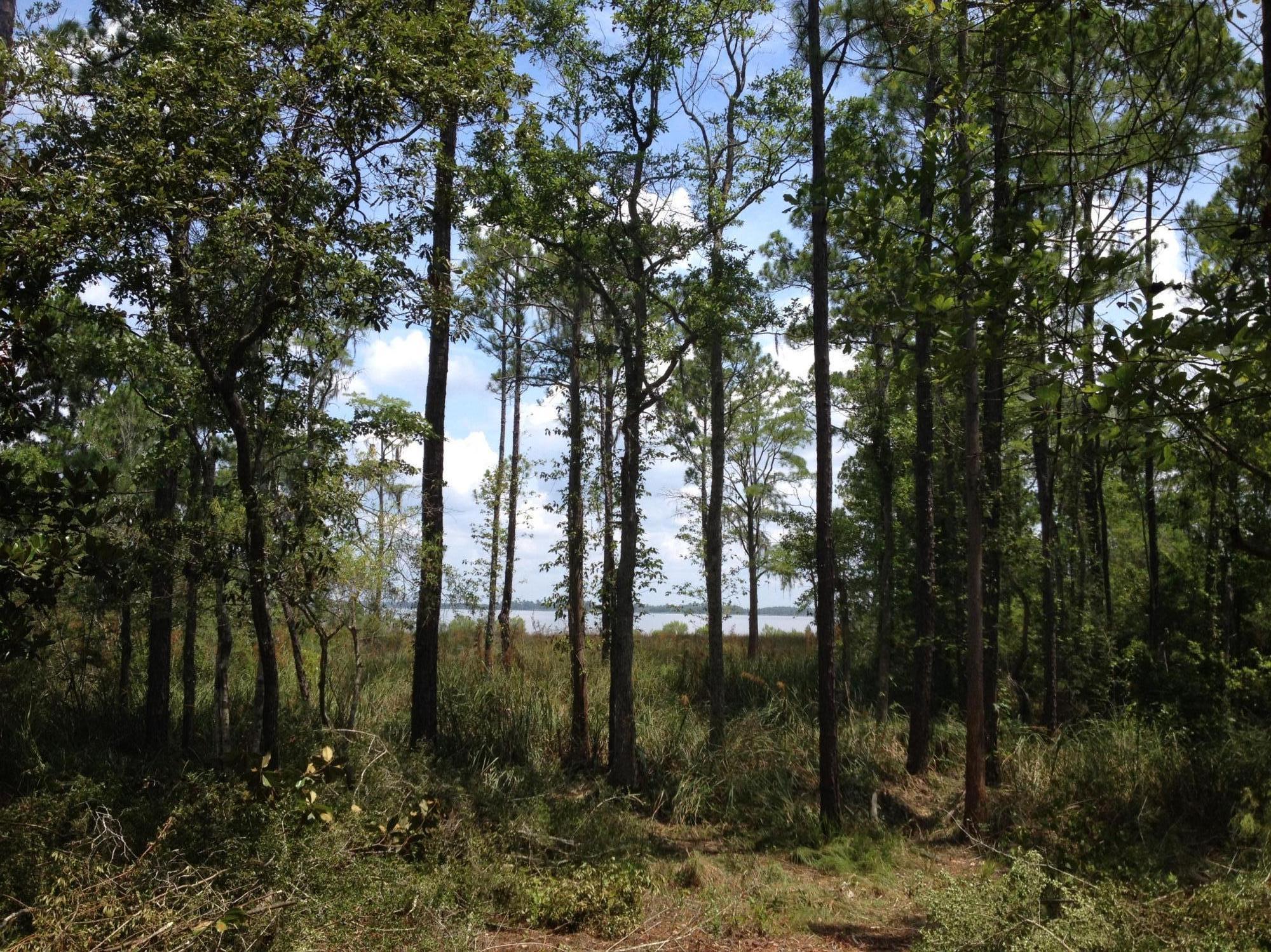 21 Bay Trace Santa Rosa Beach, FL 32459 - Photo 7 of 8 20140816231513226059000000-o