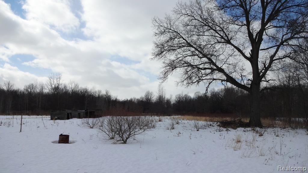 23904 Bohn Road Belleville, MI 48111 - Photo 2 of 3 005.jpg