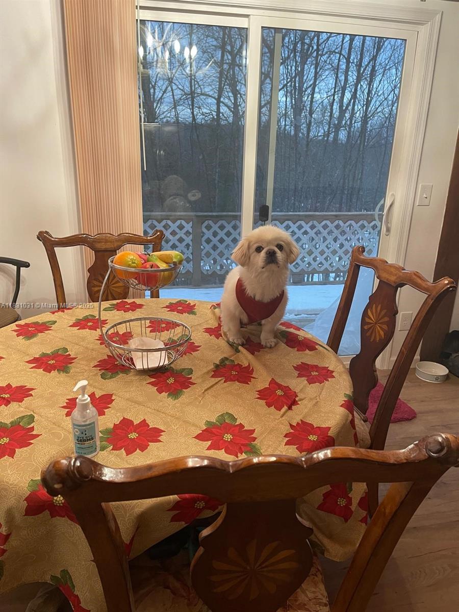 123 Rocky Road Lackawaxen, PA 18435 - Photo 33 of 39 a room with furniture and a large window