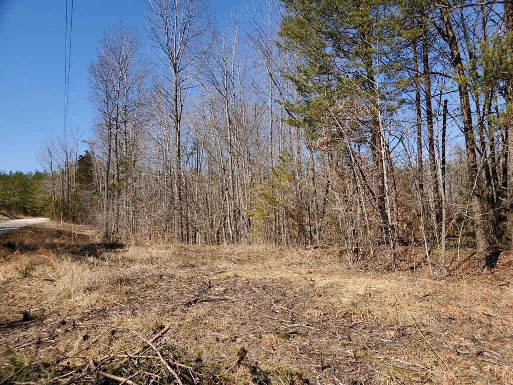 Copper Hill Road Rice, VA 23966 - Photo 4 of 4 Gallery Image 4