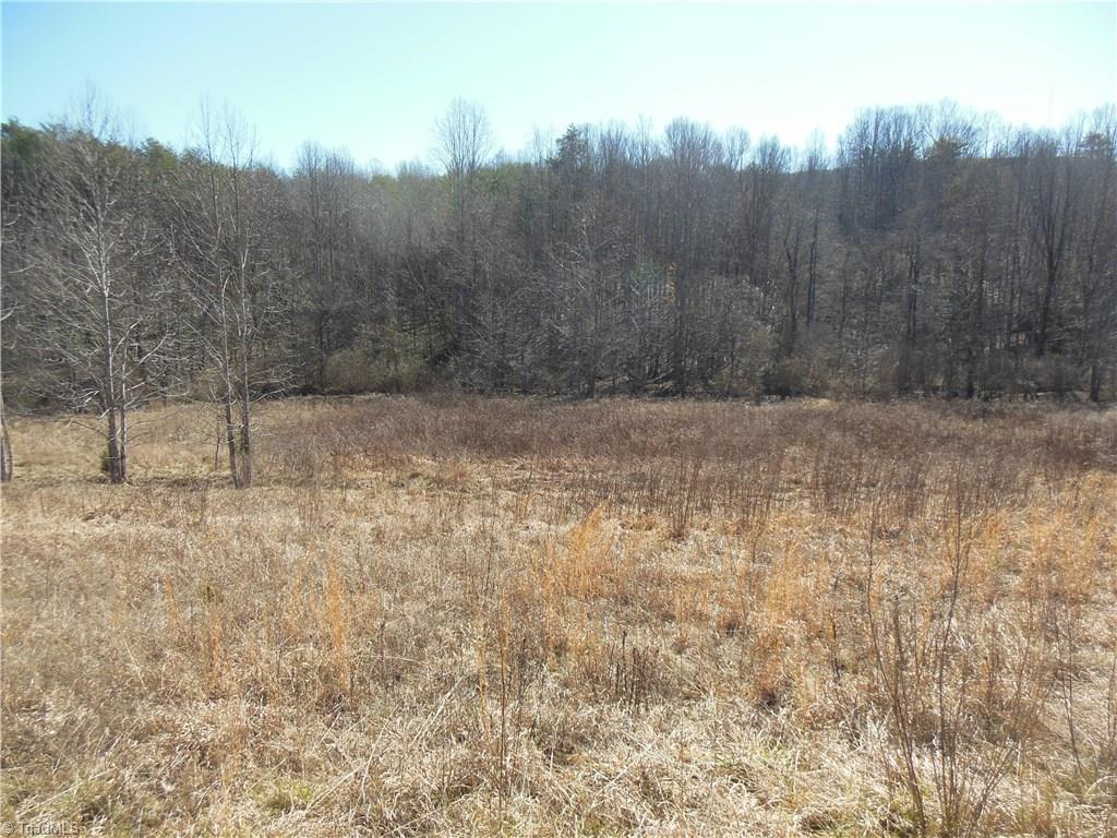 1.56 Thore Road Pinnacle, NC 27043 - Photo 1 of 8 Gallery Image 1