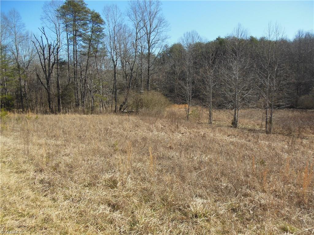 1.56 Thore Road Pinnacle, NC 27043 - Photo 2 of 8 Gallery Image 2