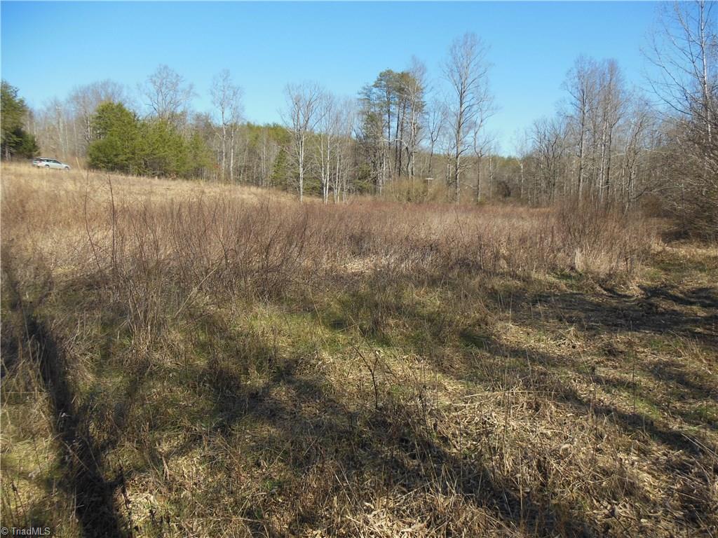 1.56 Thore Road Pinnacle, NC 27043 - Photo 5 of 8 Gallery Image 5
