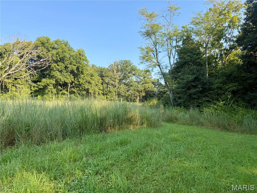 0 County Road Strasburg, IL 62465 - Photo 40 of 97 Gallery Image 40