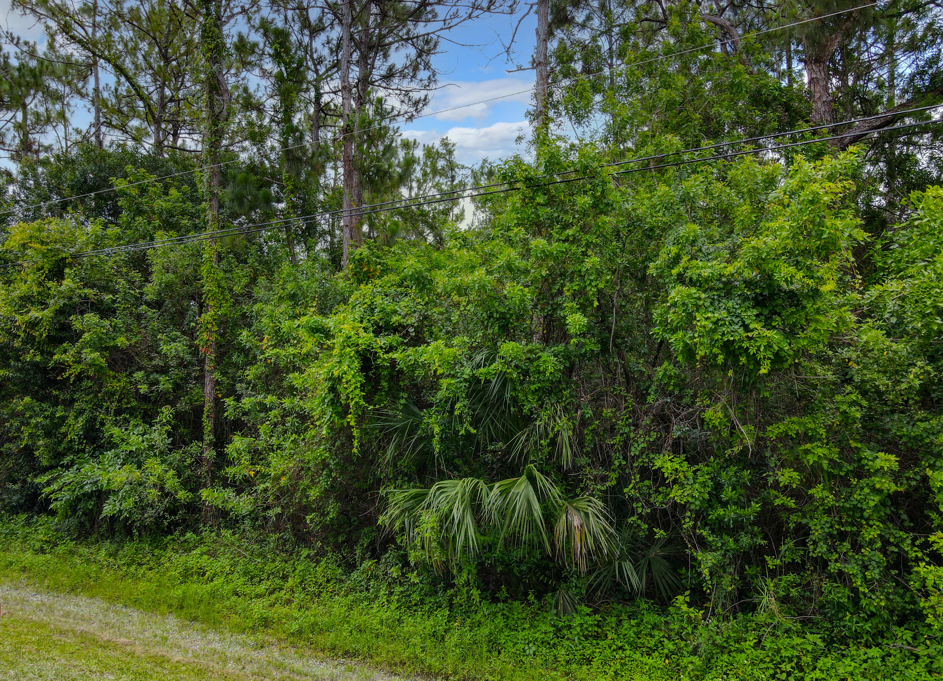 0 62nd Road North Loxahatchee, FL 33470 - Photo 3 of 7 62nd Rd N
